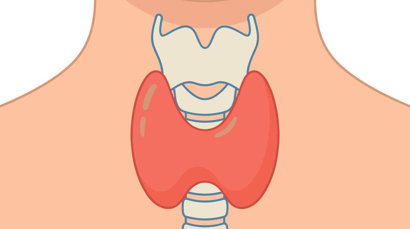 Ayurveda Treatment for Thyroid Disorders