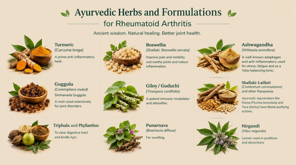 Ayurvedic Herbs and Formulations for Rheumatoid Arthritis